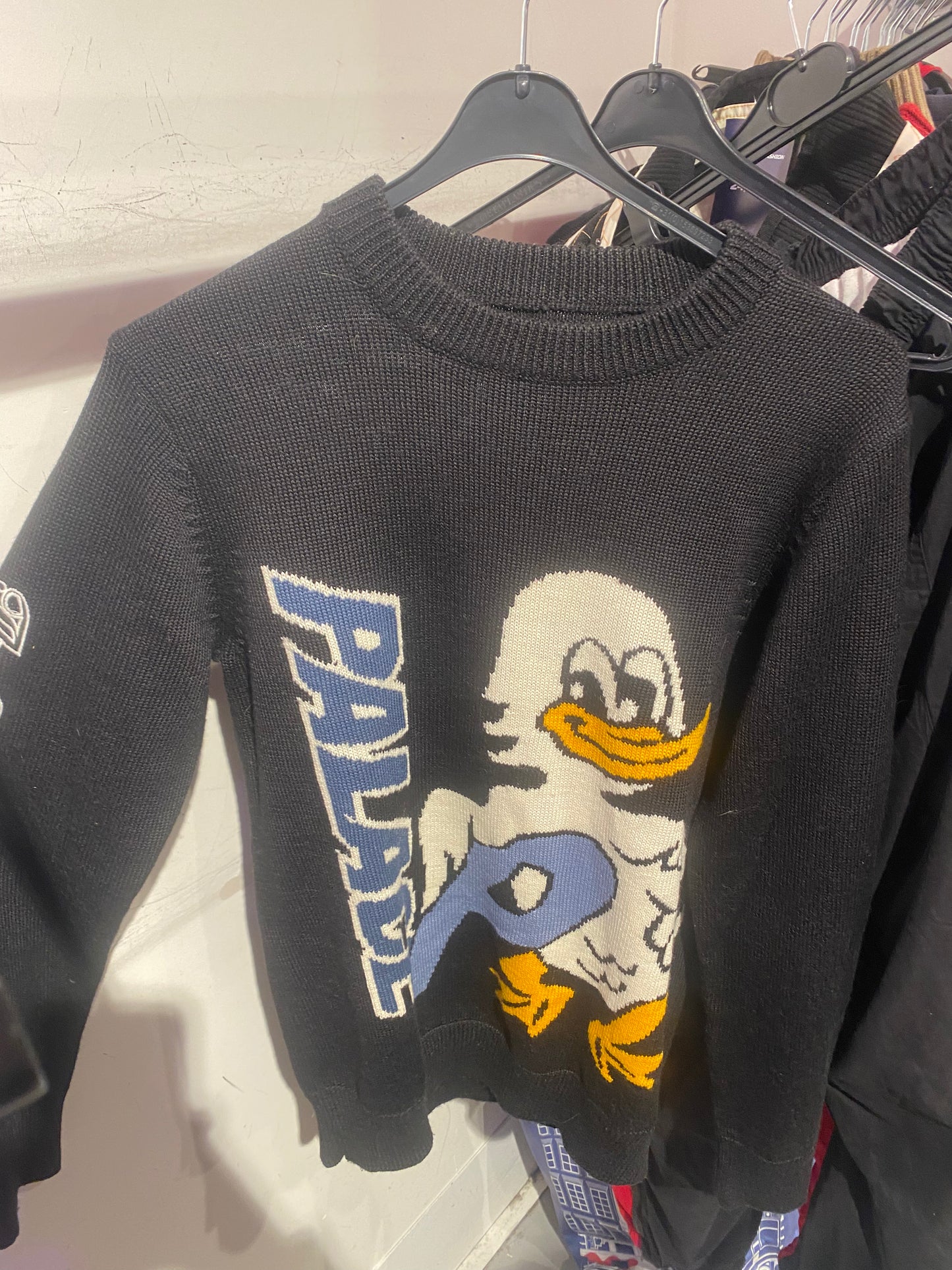 Palace Duck Knit